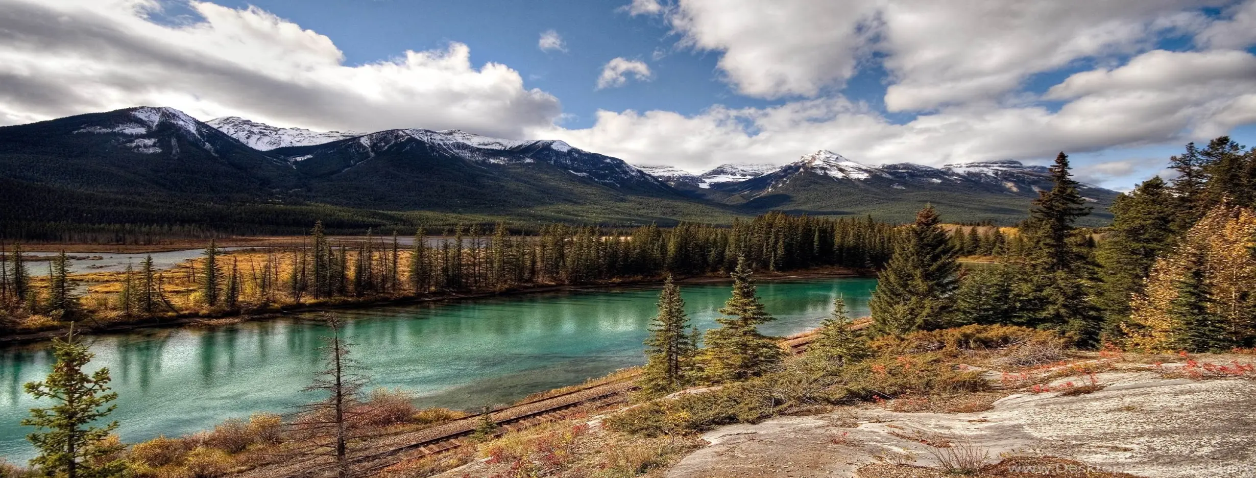 Image for Diverse Landscape